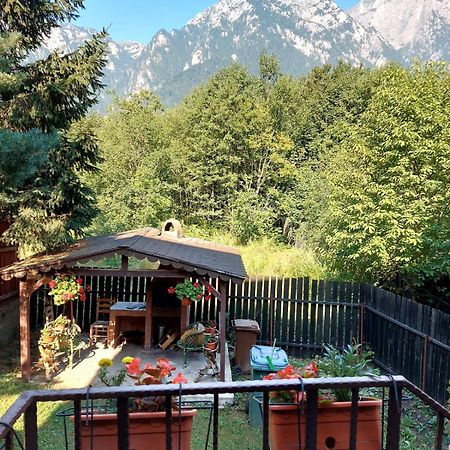 B House Buşteni Esterno foto