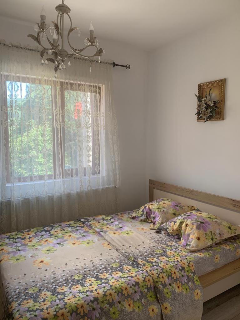 B House Buşteni Esterno foto